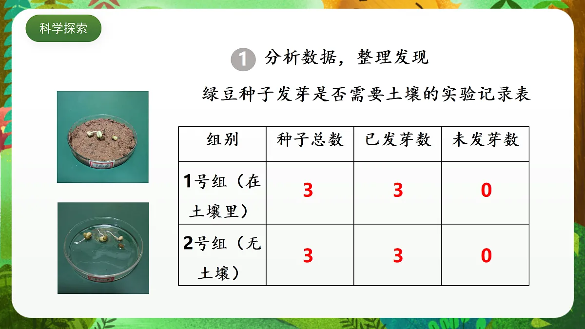 教科版（2017）科学五下1.2《 比较种子发芽实验》 课件第6页
