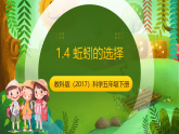 教科版（2017）科学五下1.4《 蚯蚓的选择》课件+素材