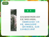 教科版（2017）科学五下1.4《 蚯蚓的选择》课件+素材
