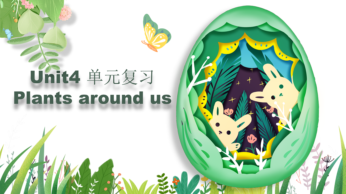 Unit4 Plants around us 单元复习课件第1页