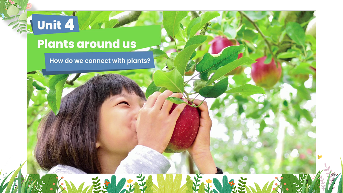 Unit4 Plants around us 单元复习课件第2页