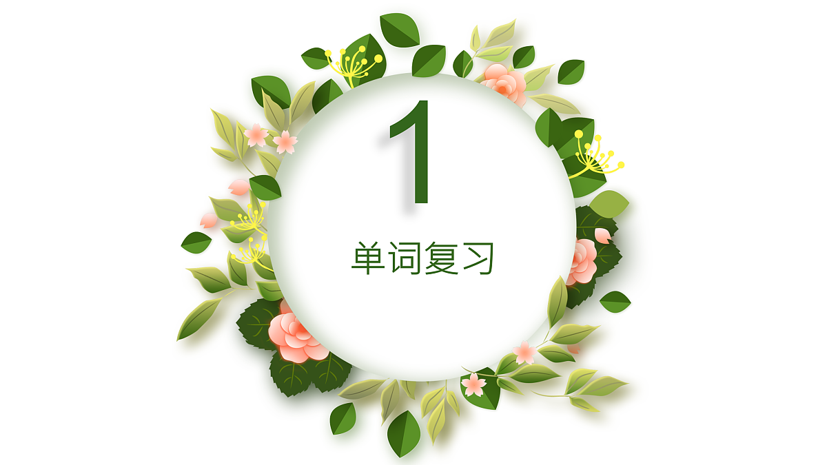 Unit4 Plants around us 单元复习课件第5页