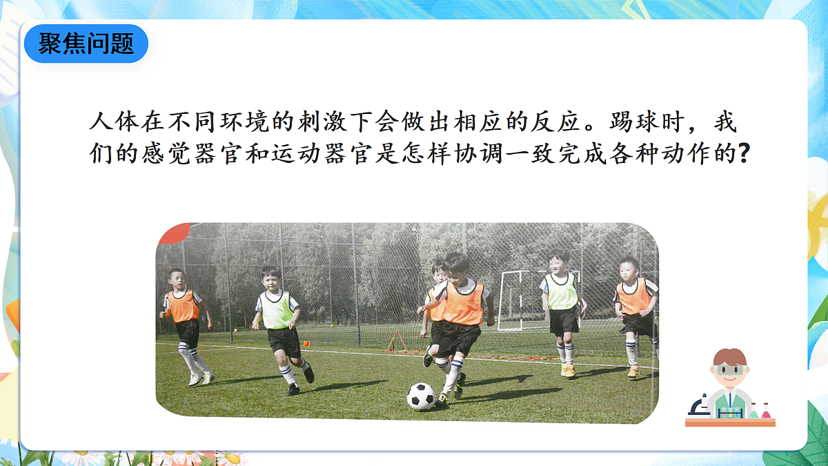 人教鄂教版科学五下3.9《脑的功能》课件第6页