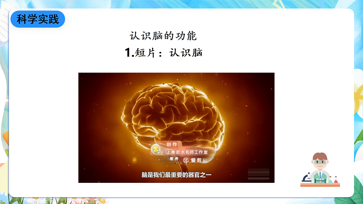 人教鄂教版科学五下3.9《脑的功能》课件第7页
