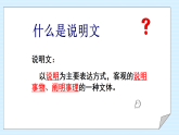 19 中国石拱桥  课件 -2025--2026学年 八年级语文·上册统编版