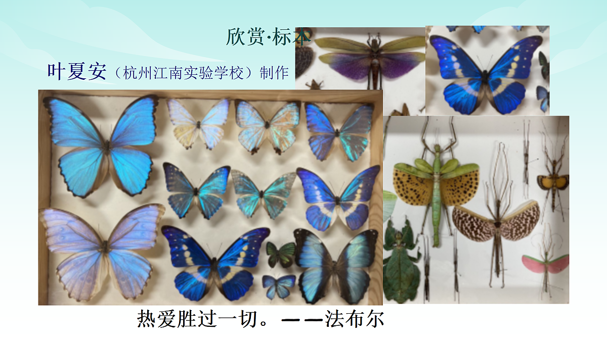 17482871第3页