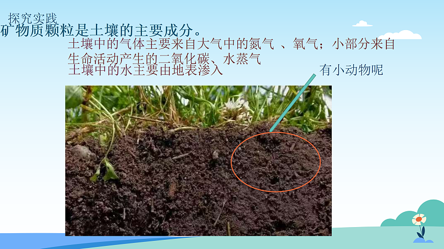 17482879第3页