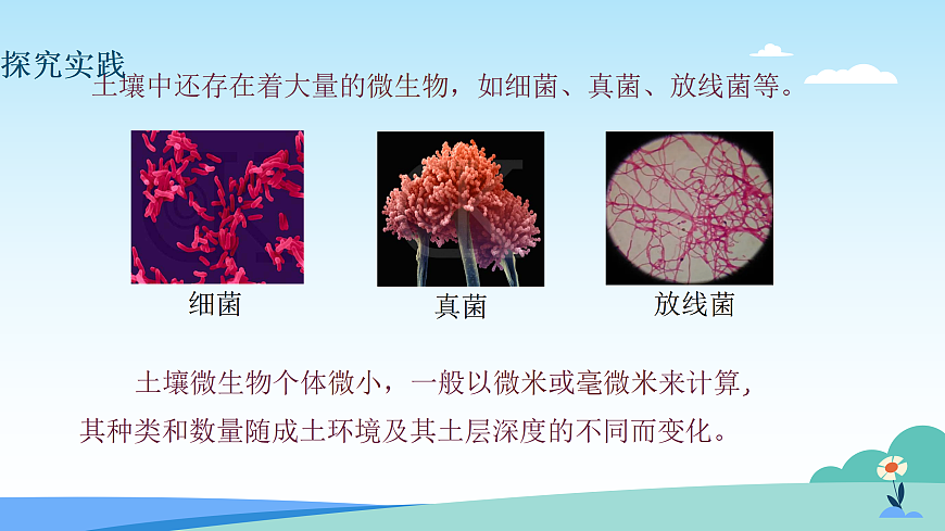 17482879第5页