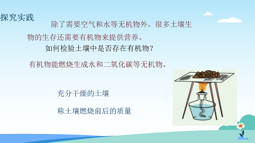 17482879第7页