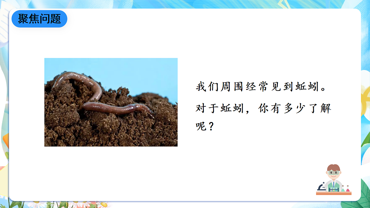 人教鄂教版科学六下1.2《动物对环境的适应》课件第4页