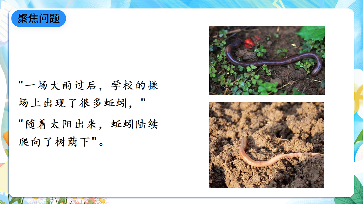 人教鄂教版科学六下1.2《动物对环境的适应》课件第5页