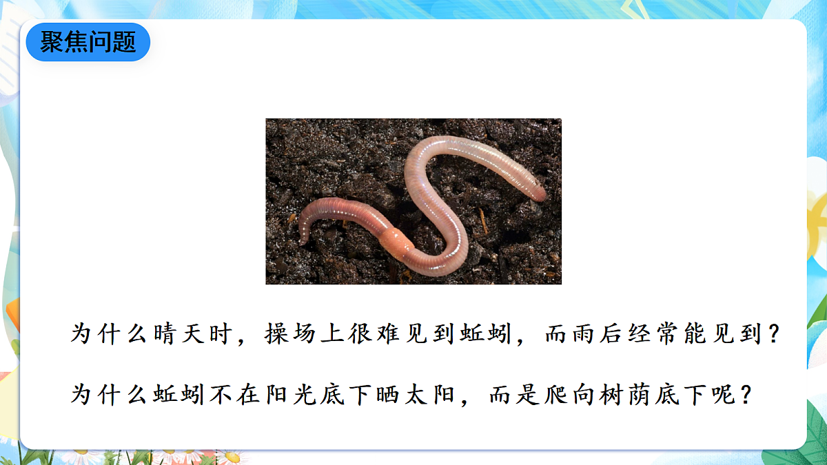 人教鄂教版科学六下1.2《动物对环境的适应》课件第6页