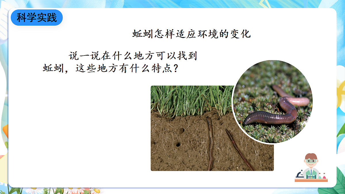 人教鄂教版科学六下1.2《动物对环境的适应》课件第7页