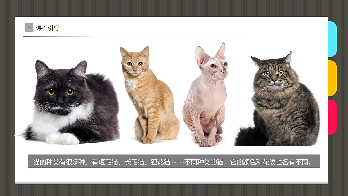 17483108第4页