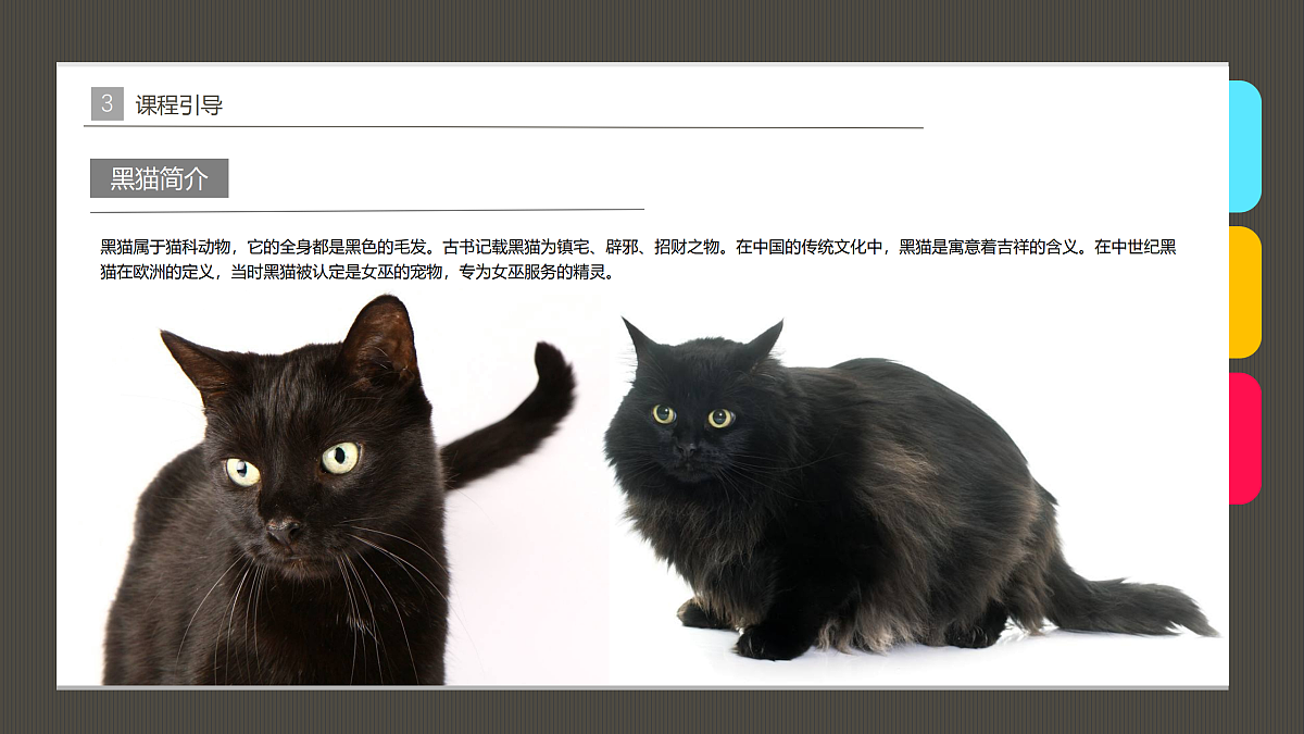 17483108第6页