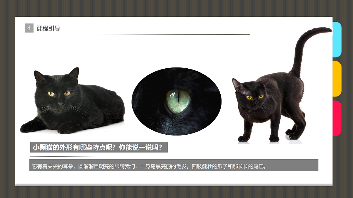 17483108第7页