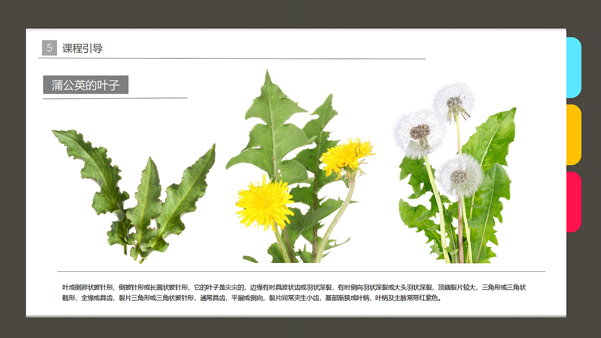 17483109第8页