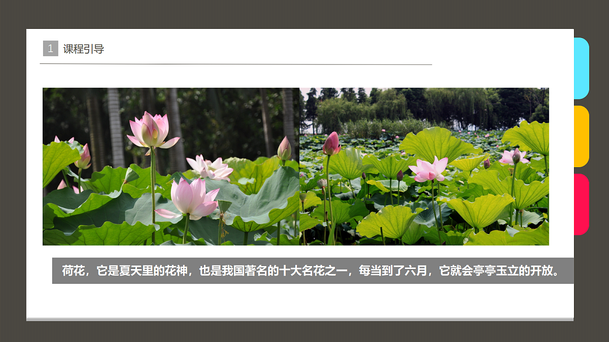 17483113第4页
