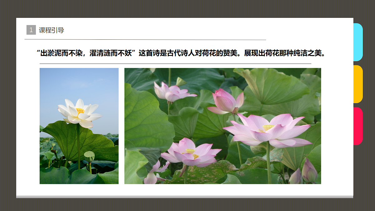 17483113第5页