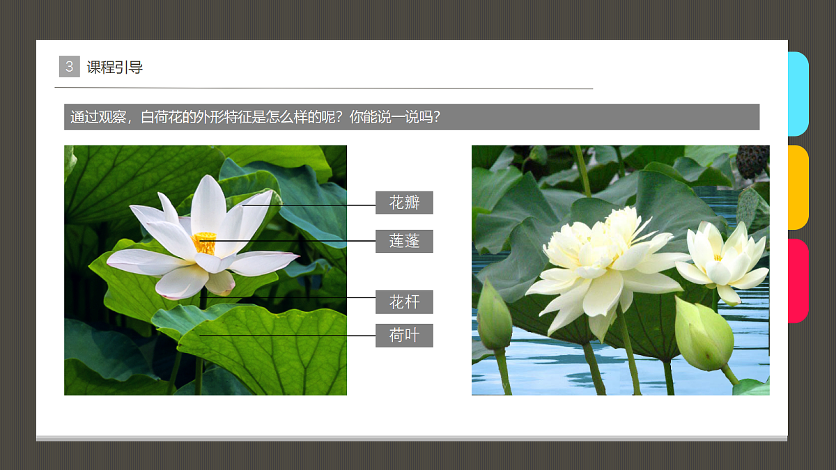 17483113第8页