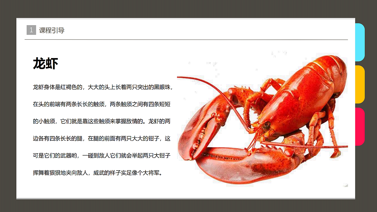 17483117第6页