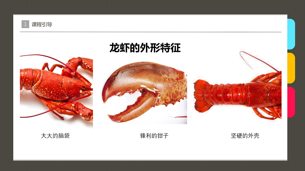 17483117第7页