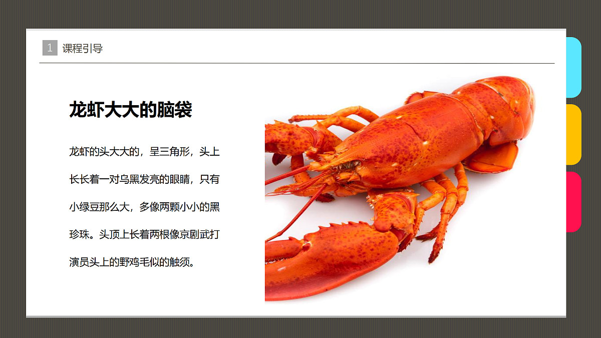 17483117第8页