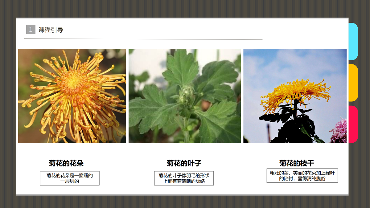 17483119第8页