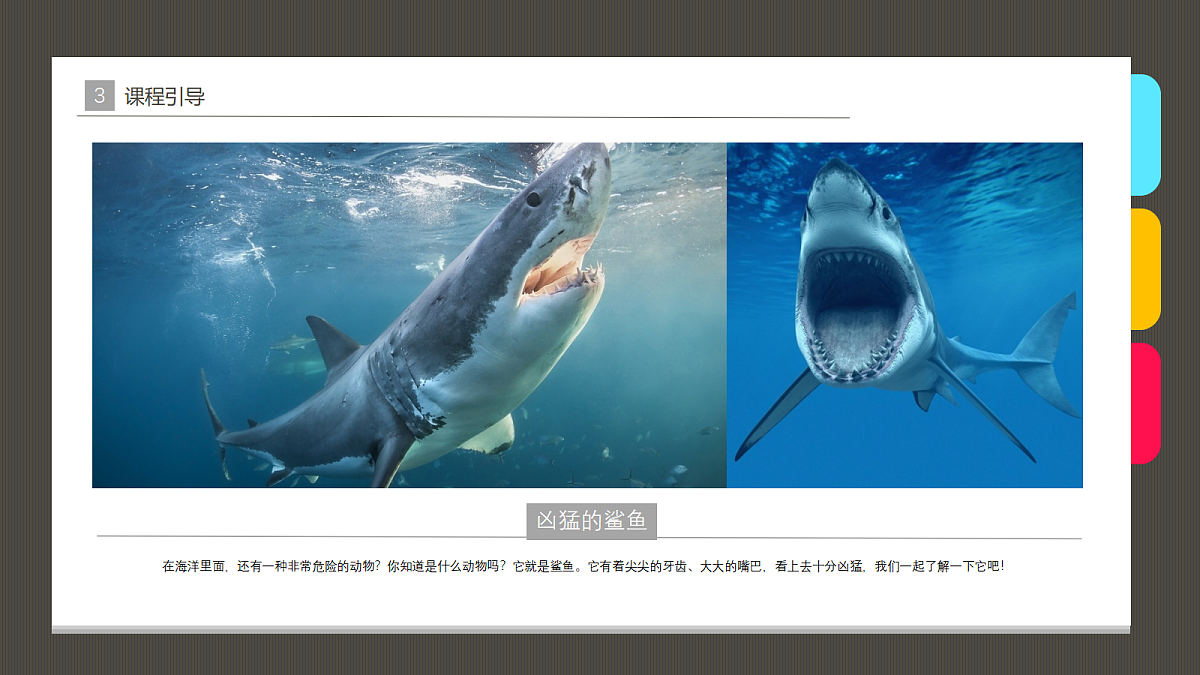 17483121第6页