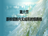 第二章  第六节　原核细胞内无成形的细胞核课件高中生物学 浙科版（2019）必修1 分子与细胞
