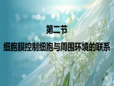 第二章  第二节　细胞膜控制细胞与周围环境的联系课件高中生物学 浙科版（2019）必修1 分子与细胞