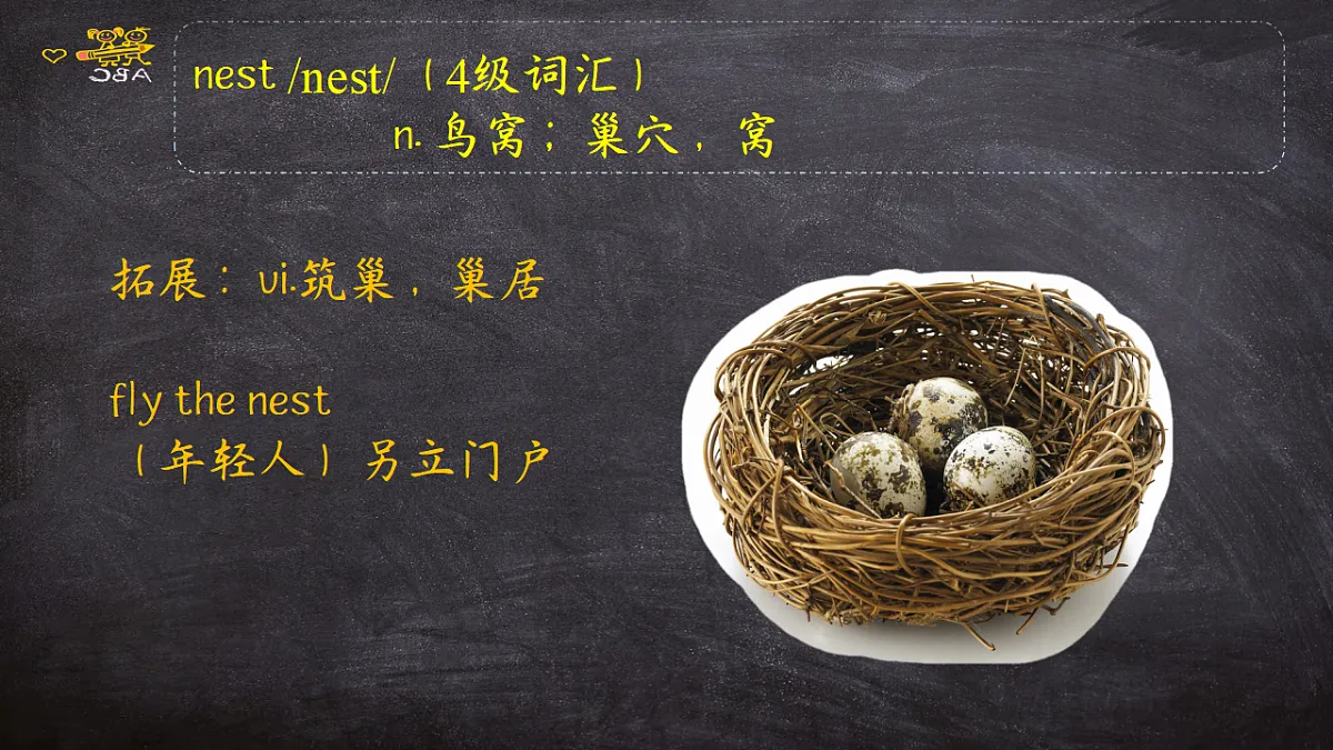 17483424第3页