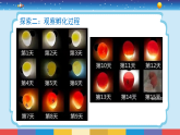新大象版科学三年级上册 第三单元 第一课《孵化小鸡》课件