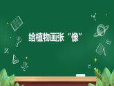 教科版科学一上1.4《给植物画张相》教学设计+课件