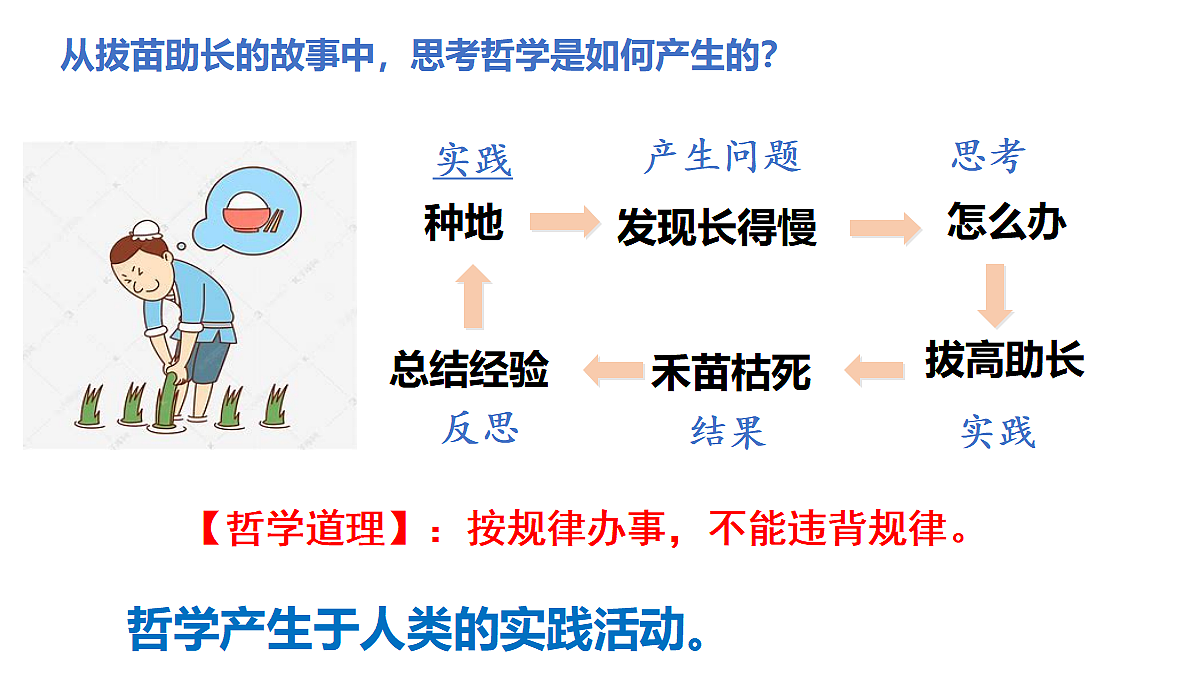 17484564第6页