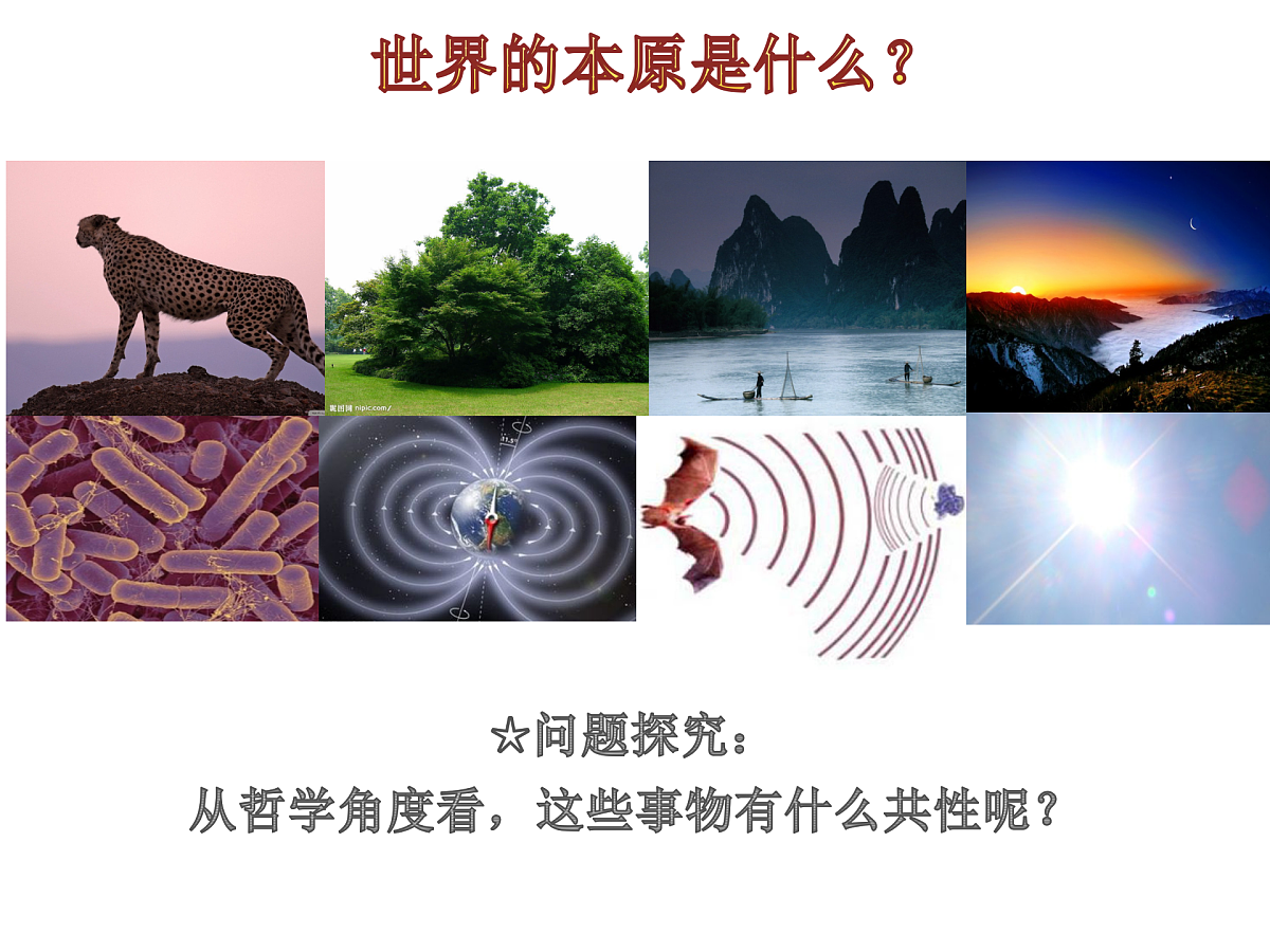 17484581第3页