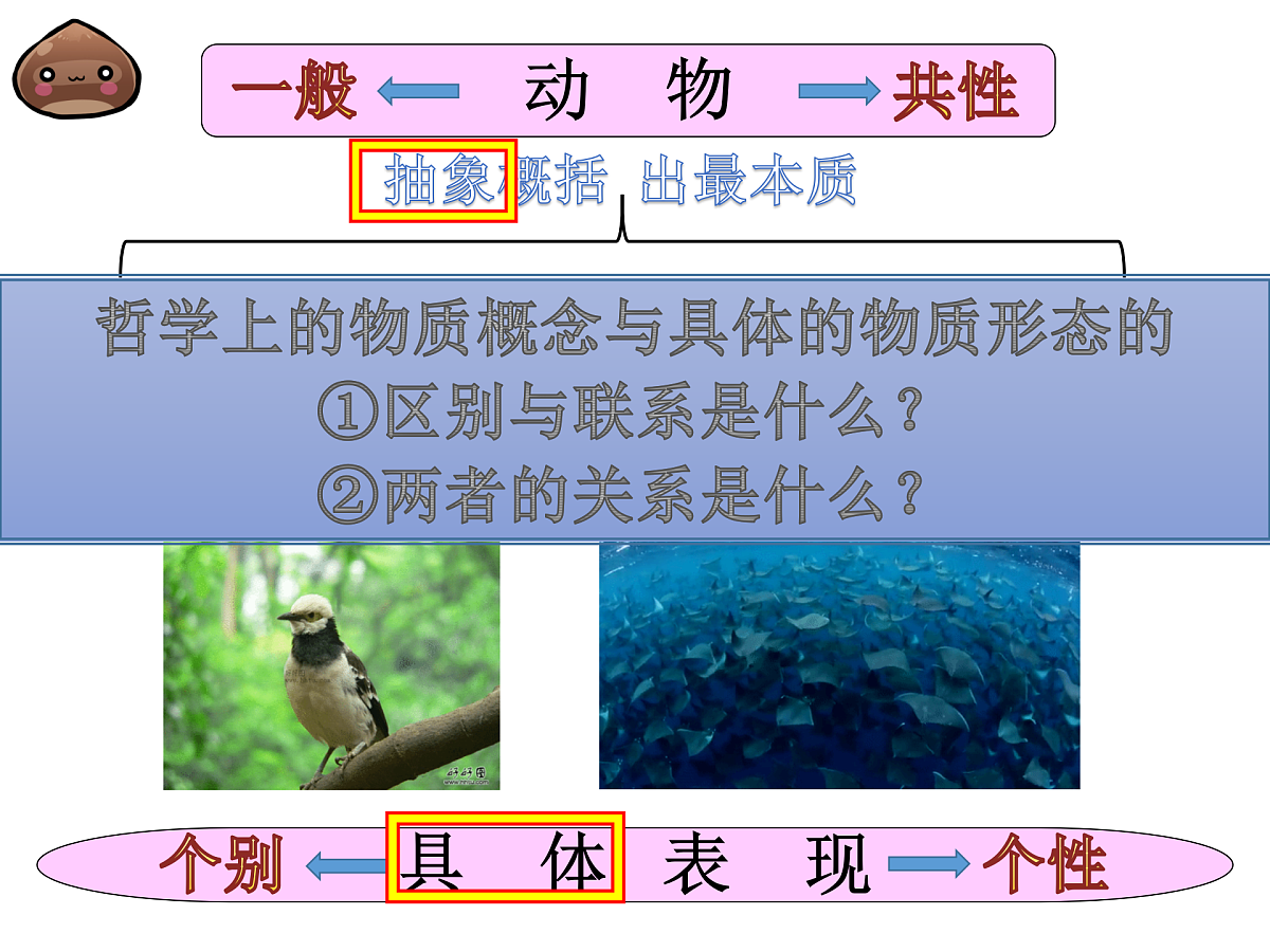 17484581第5页