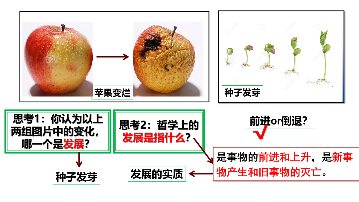 17484601第7页