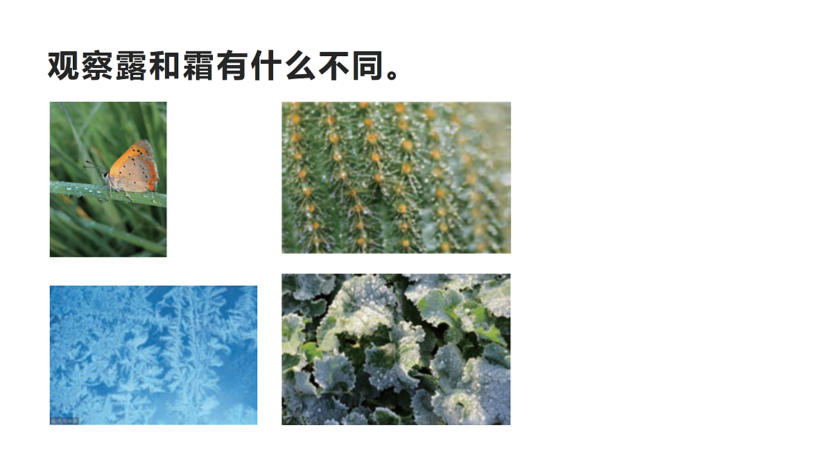 17486671第2页