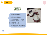2025秋苏教版六年级科学上册1-1 《蜡烛的变化》（课件）