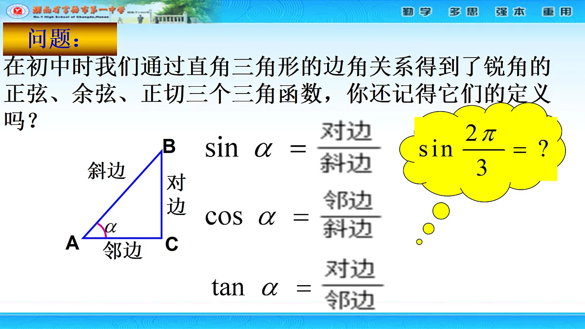 17486793第3页