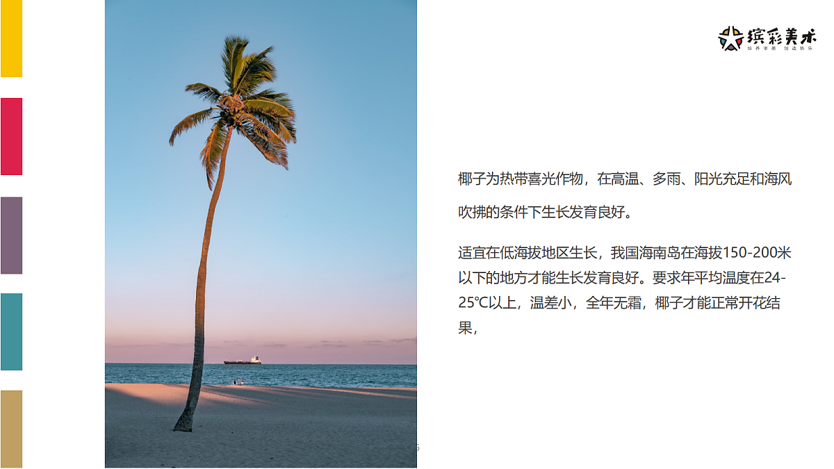 17486979第7页