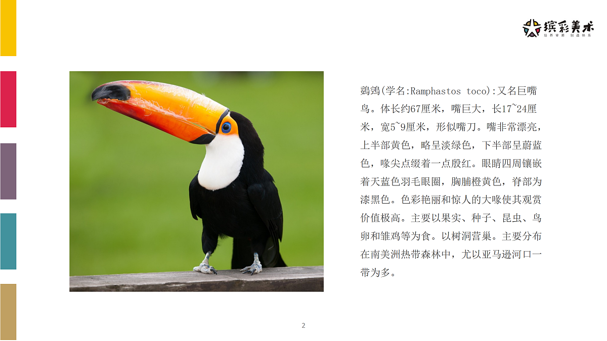 17486987第2页