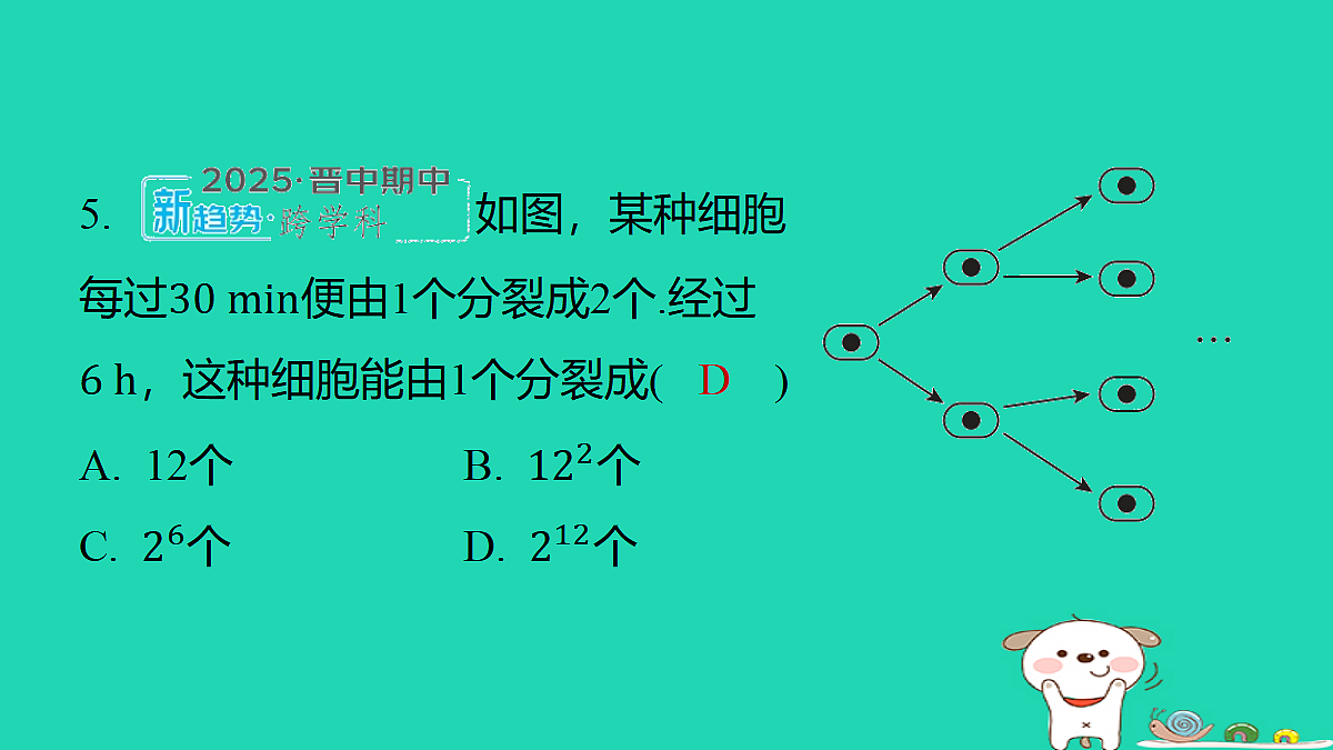 17487427第4页