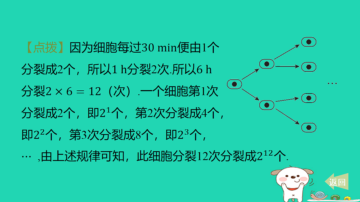 17487427第5页