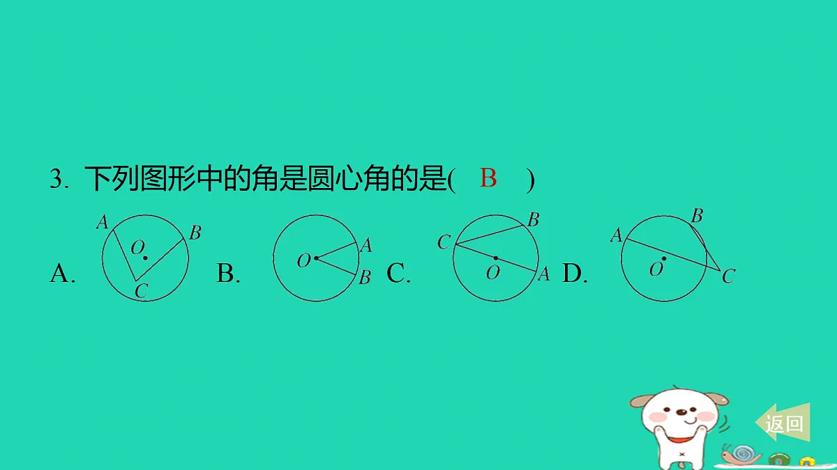 17487446第3页