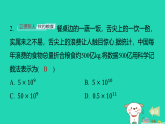 2025秋七年级数学上学期期末综合素质评价作业课件新版北师大版（含答案）