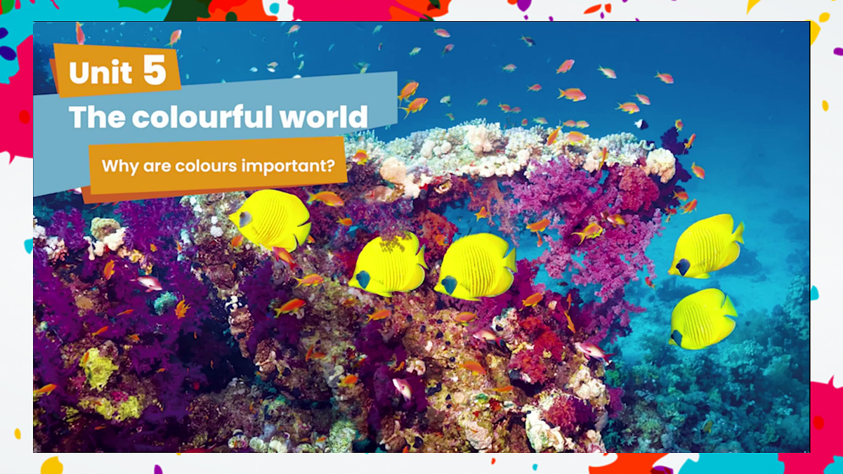 Unit5 The colourful world Part A Let’s talk & Guess and check(第1课时）课件第4页