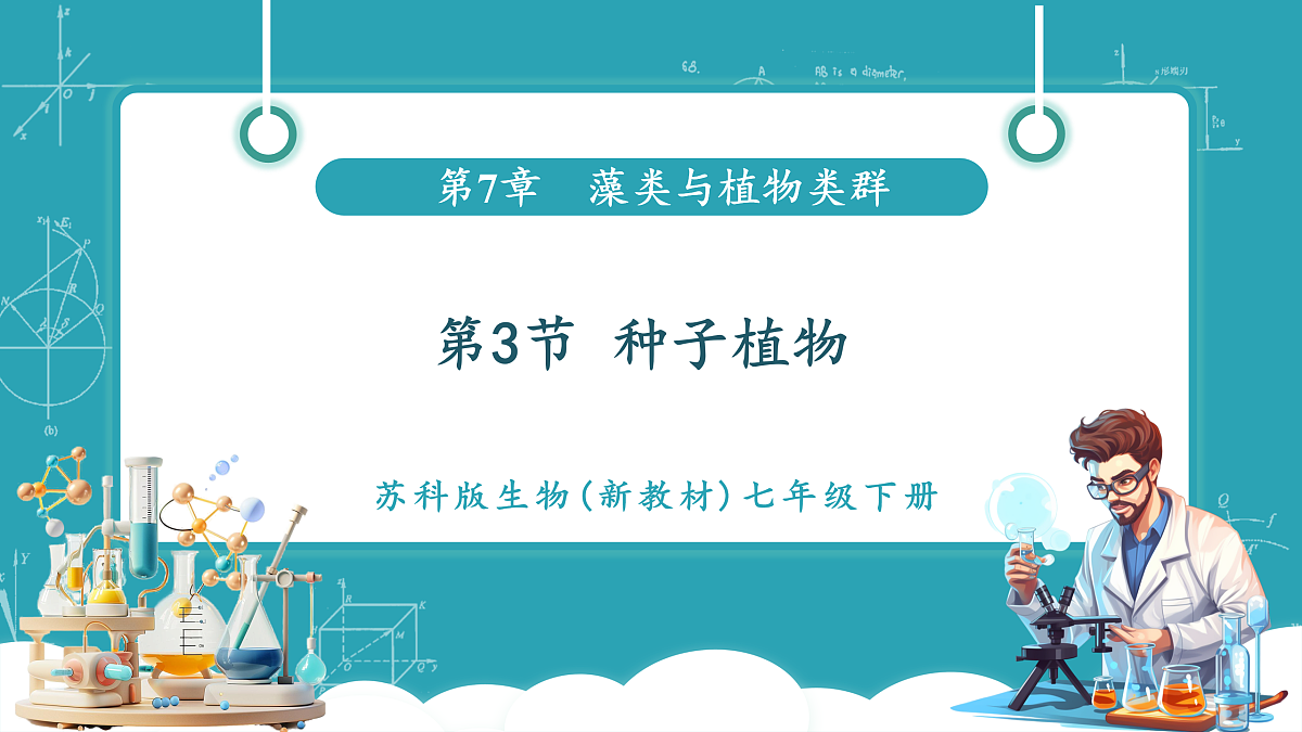 7.3 种子植物（课件）第1页