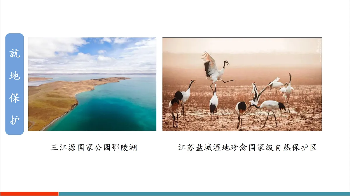 10.2 保护生物多样性我们在行动第8页
